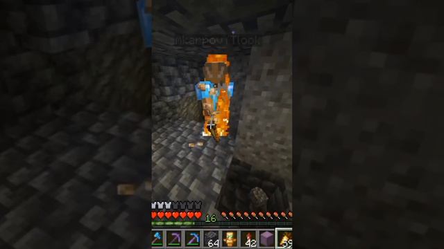 спас тотемом Бессмертия #нарезка #майнкрафт #тотем #бессмертия #на сервере #подпишись #лайкни смотреть онлайн