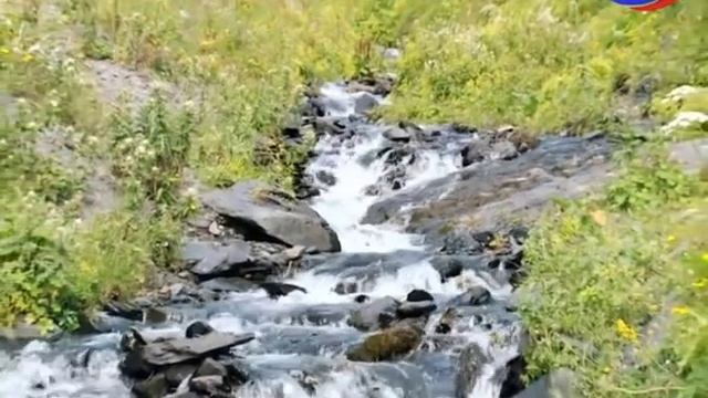 Кусур. Выше только горы смотреть онлайн