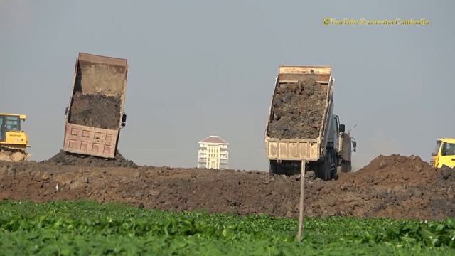 អាប៊ុលរុញដី - Dump Trucks And Bulldozer Working Building New Project