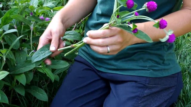 Homefront Farmers Globe Amaranth смотреть онлайн