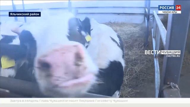 Аграрии Чувашии уже готовятся к посевной смотреть онлайн