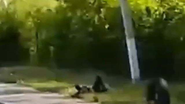 Оторвавшееся автомобильное колесо сбило с ног пешехода. смотреть онлайн