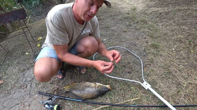 ЗАКАЗНИК 🦢 Долгожданный САЗАН 🐬 Конфликт с БАРАНОМ !!! смотреть онлайн
