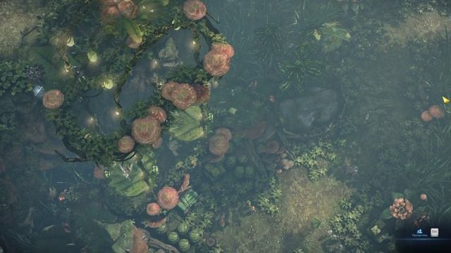 Lost Ark. Атлас Искателя области Тортоик: Панорамы. смотреть онлайн