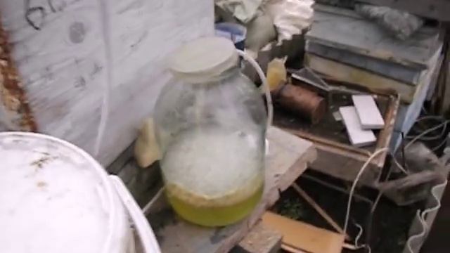 весенние подкормки -  медовая сыта может передавать болезни пчел , как поступить ?