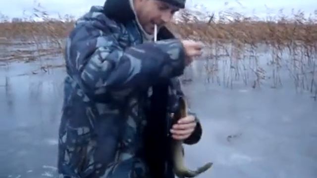 Поймал щуку!!! смотреть онлайн