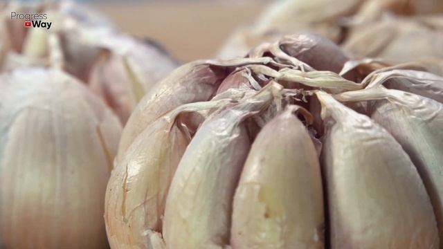 УКРУПНЯЕМ ГОЛОВКИ ЧЕСНОКА В ИЮНЕ! ПОЛЕЙТЕ ТАК ЧЕСНОК В ИЮНЕ И УРОЖАЙ ВАС ОЧЕНЬ ПОРАДУЕТ УРОЖАЕМ ! смотреть онлайн