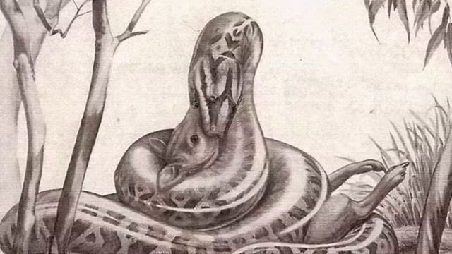 10 Snakes That Are SCARIER Than Dinosaurs! смотреть онлайн