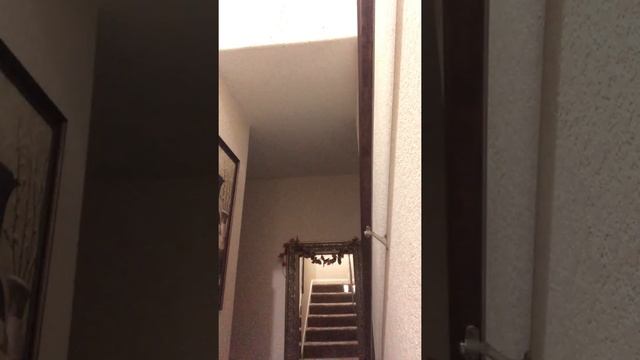 Trash can card game смотреть онлайн