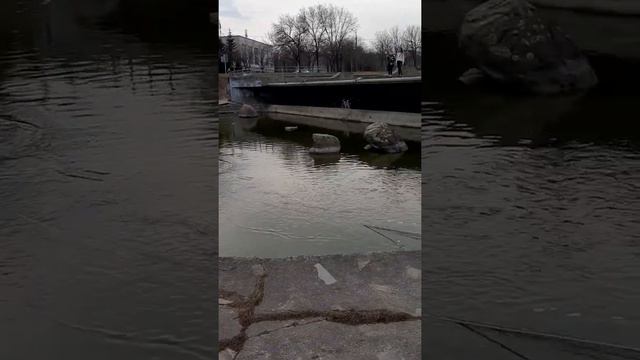 Магнитные кладоискатели смотреть онлайн