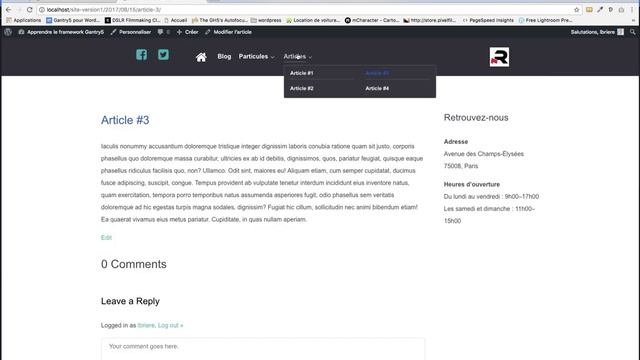 Tuto Wordpress : La gestion des menus WordPress dans Gantry5 смотреть онлайн