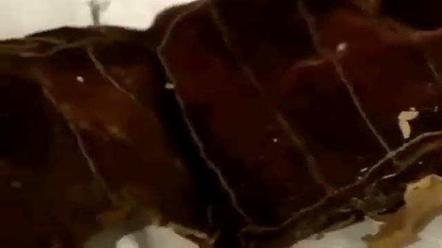 The Medici   Secrets Of The Most Powerful Family In The World Full Documentary