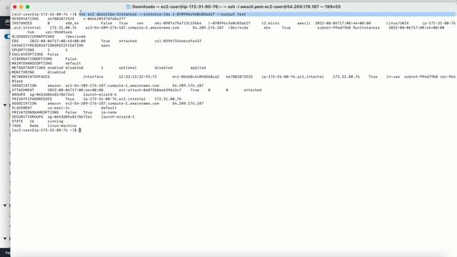 AWS Tutorial | How to Filtering AWS CLI output or Controlling AWS CLI Output смотреть онлайн