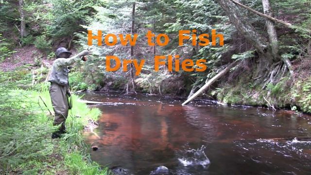 Part 8: How to Fly Fish with a Spinning Rod - Dry Flies смотреть онлайн