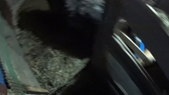 Наша коза/ Сколько дает молока/Рацион/ смотреть онлайн