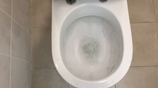 Как смывает Унитаз Sanita luxe Next luxe c микролифтом смотреть онлайн