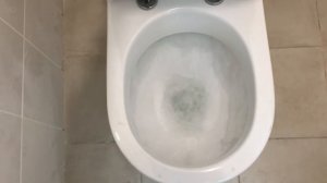 Как смывает Унитаз Sanita luxe Next luxe c микролифтом