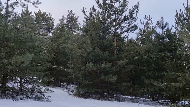 17 февраля - День Николая Чудотворца. Народные традиции. День Николы Студеного. Запреты дня. смотреть онлайн