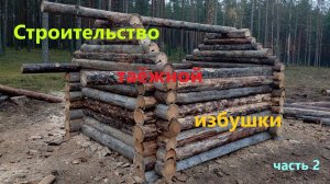 Строительство таёжной избушки часть 2