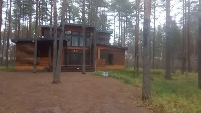 ПОСМОТРИТЕ ЭТО ВИДЕО!!! ОЦЕНКА СТОИМОСТИ ПЕРВОГО ЭТАПА!!! СПИЛ Кустарников и мелколесья. смотреть онлайн
