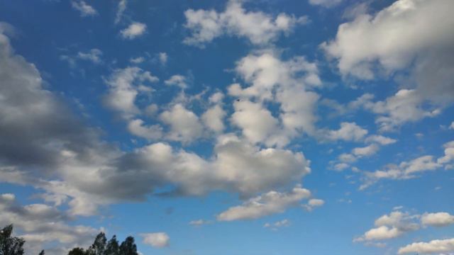 второй полёт Як-54