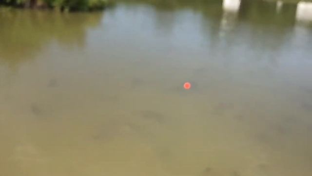 Вся правда про DEEPER смотреть онлайн