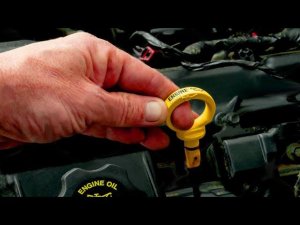 СРОЧНО МЕНЯТЬ МАСЛО ЕСЛИ ПАХНЕТ ГАРЬЮ ?