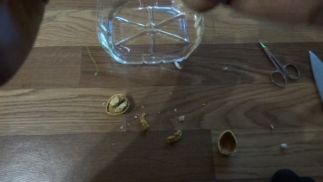 КАК СДЕЛАТЬ МАЛЕНЬКИЙ КОРАБЛИК ДЛЯ РЕБЕНКА смотреть онлайн