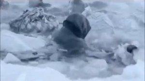 Ладога сериал смотреть онлайн