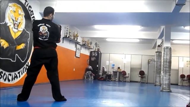 Hapkido korean tiger association смотреть онлайн