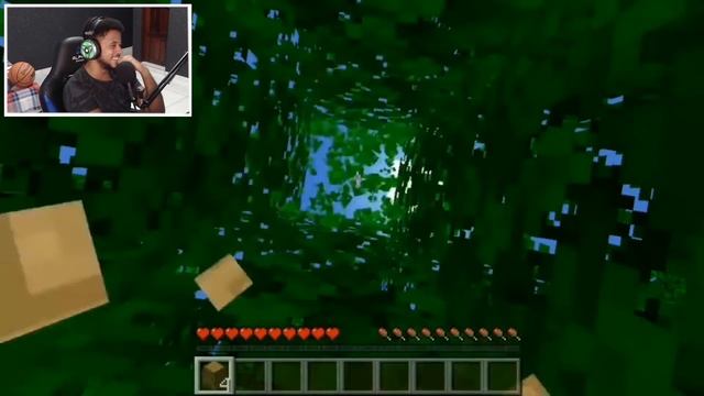MAIS YOUTUBERS BRASILEIROS REPRESENTADOS NO MINECRAFT смотреть онлайн