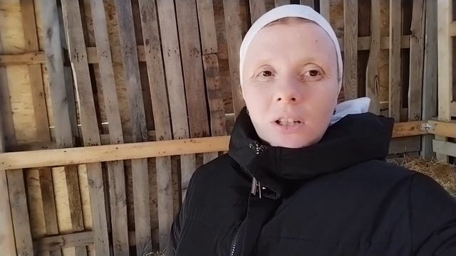 Маришке 4 годика// вкусный пирог к празднику// новое увлечение Маши// купили сено