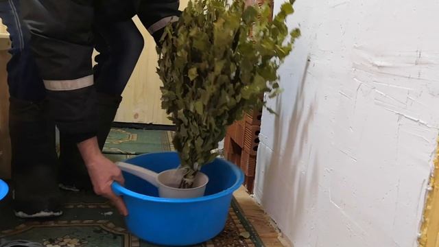 Как правильно заварить веник для бани смотреть онлайн