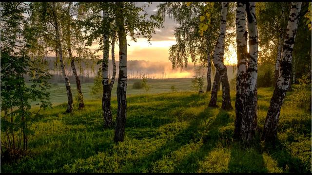 Матушка ЗемляРусская Песня!!! смотреть онлайн