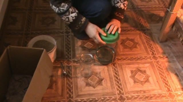 Закупил первых бройлеров . смотреть онлайн