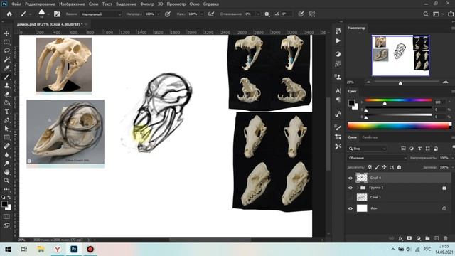 Рисуем поэтапно череп в Photoshop смотреть онлайн