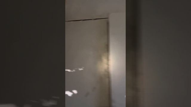 30 ноября 2023 г.