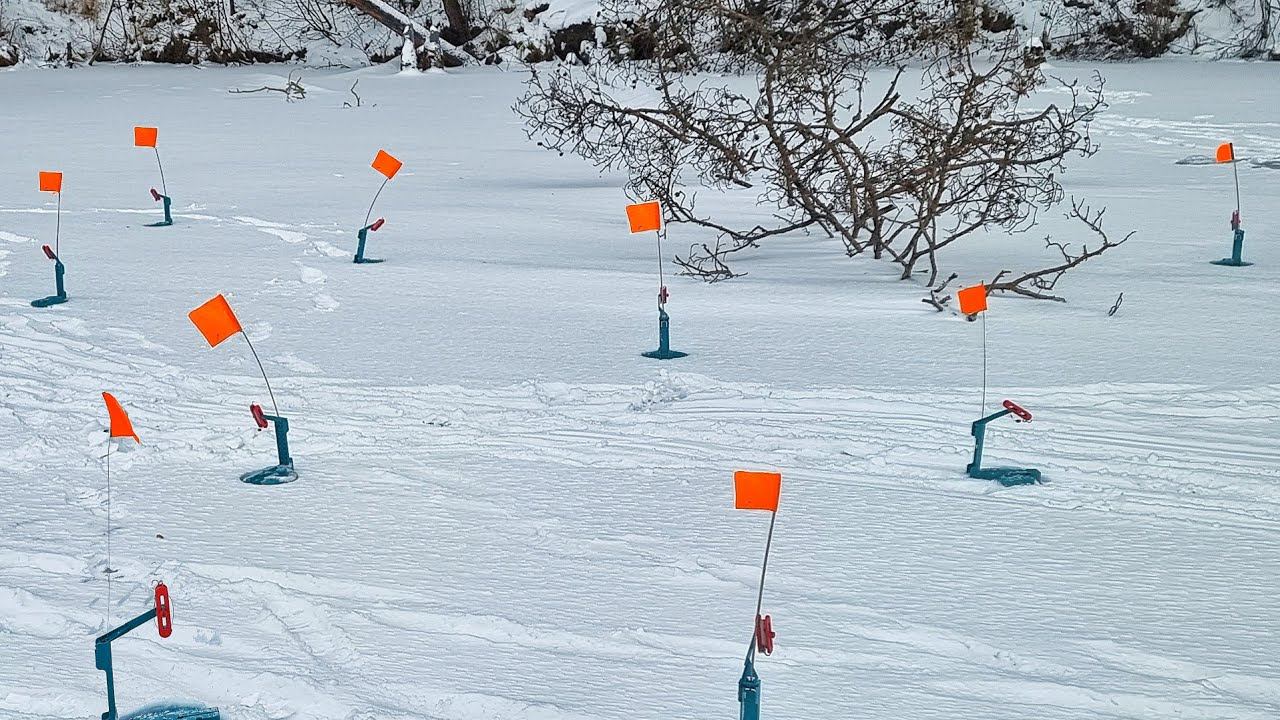 РАССТАВИЛ ЖЕРЛИЦЫ ЗАПРЕЩЁННЫМ СПОСОБОМ! УСТАЛ БЕГАТЬ! Поклевка за поклевкой! смотреть онлайн