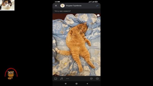 Как добавить фото в вк через телефон. Как загрузить фото в Вконтакте смотреть онлайн