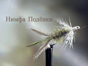 Нимфа Подёнки для ловли Хариуса и Форели Как связать от GM FLY
