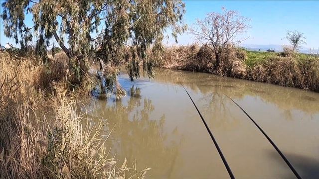 Зимняя рыбалка в Израиле! Февраль. Winter fishing! Israel, February. смотреть онлайн