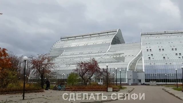 Новая оранжерея. ГБС РАН в Москве смотреть онлайн