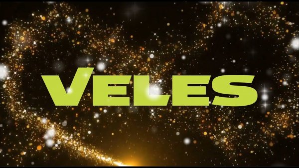 VELES 2023. Итоги года