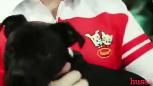 Отзыв UDS Магазин корма животным HUSSE.По рекомендации за год в кассу пришло 3 325 000 руб. смотреть онлайн