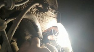 глухой стук при движении гольф 4, Golf 4