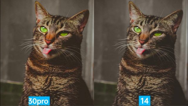 Infinix Note 30 pro vs iphone 14 camera test смотреть онлайн