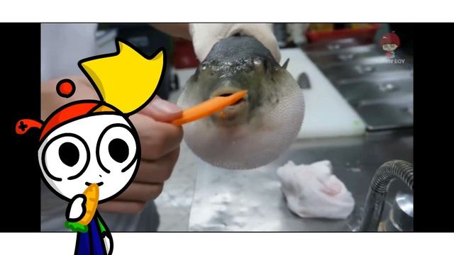 Сенсей Рыба Фугу учит нас есть морковь: смотреть онлайн