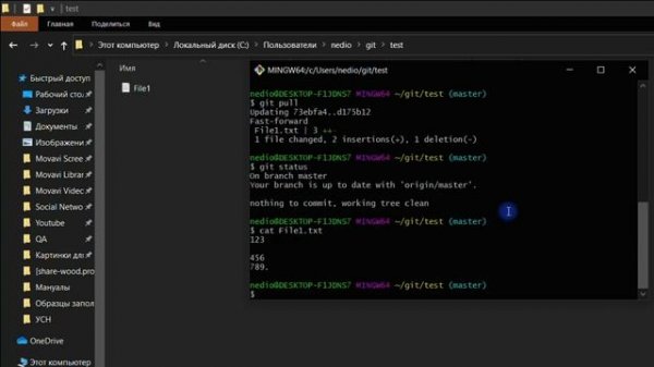 #3 GIT для тестировщика / Базовые команды / Отслеживание изменений в GIT