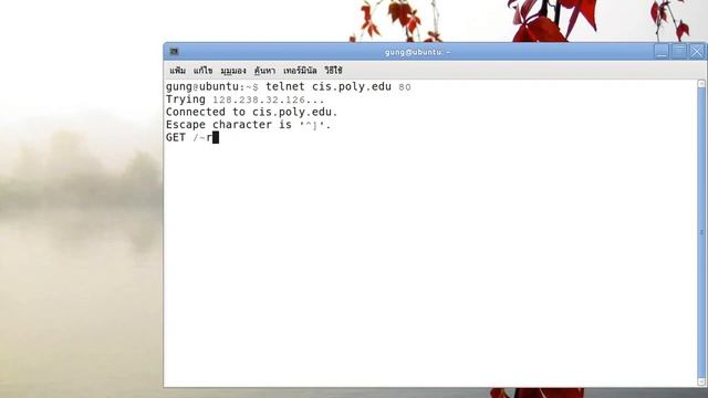 telnet_Port80.ogv смотреть онлайн
