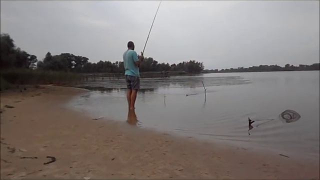 Рыбалка. Ловля карпа, карася, судака и красноперки . My fishing смотреть онлайн